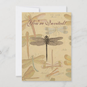 Dragonfly Vintage Antique Classic Nature Invitation