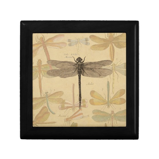Dragonfly Vintage Antique Classic Nature Jewelry Box (Front)