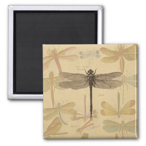 Dragonfly Vintage Antique Classic Nature Magnet