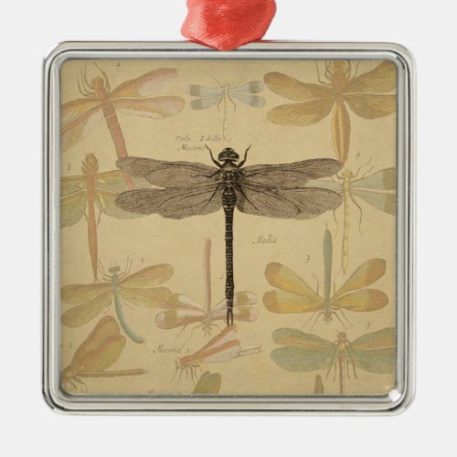 Dragonfly Vintage Antique Classic Nature Metal Ornament