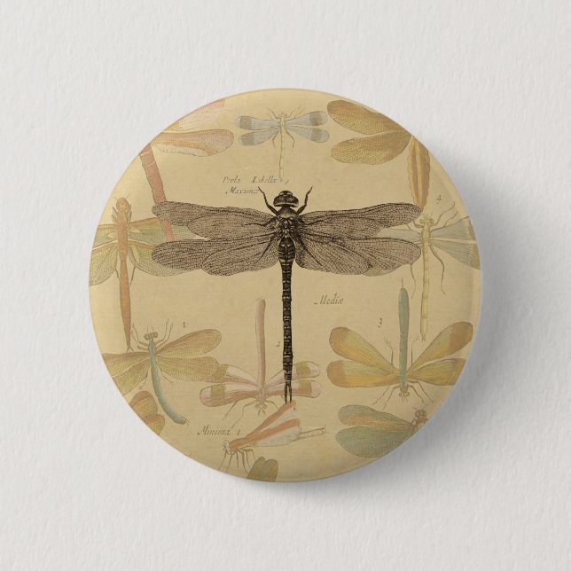Dragonfly Vintage Antique Classic Nature Pinback Button (Front)