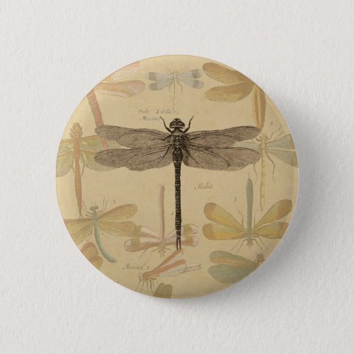 Dragonfly Vintage Antique Classic Nature Pinback Button