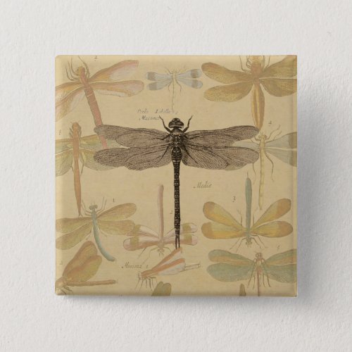 Dragonfly Vintage Antique Classic Nature Pinback Button
