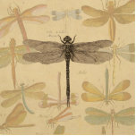 Dragonfly Vintage Antique Classic Nature Statuette<br><div class="desc">Vintage Dragonfly Antique image of a dragonfly - This sweet little dragonfly is  an antique image of a beautiful dragonfly,  drawn in black and white,  with a background of soft colorful dragonflies against antique paper.</div>