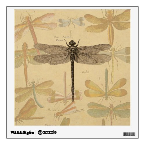 Dragonfly Vintage Antique Classic Nature Wall Decal