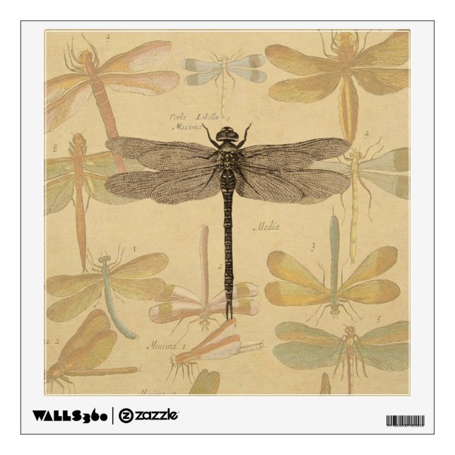 Dragonfly Vintage Antique Classic Nature Wall Decal (Front)
