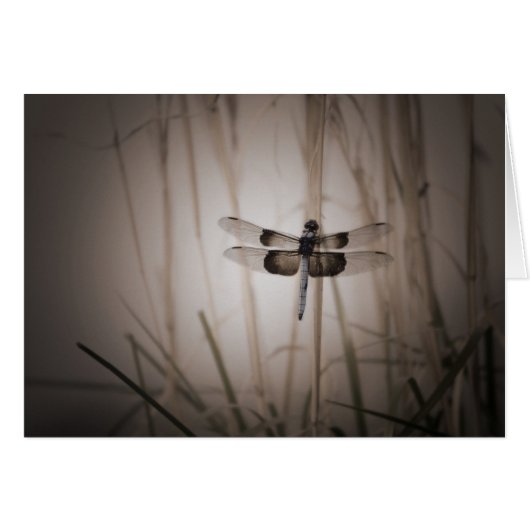 Dragonfly - Vintage look Cards (Front Horizontal)