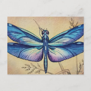 Dragonfly Vintage No. 6 and Grass Watercolor Art Postcard