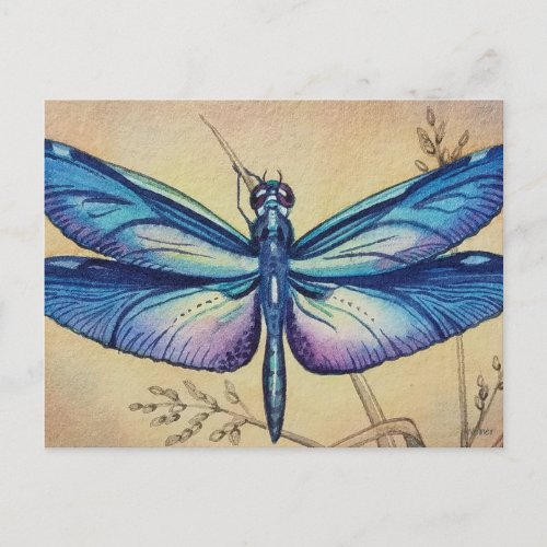 Dragonfly Vintage No 6 and Grass Watercolor Art Postcard