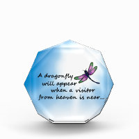 Dragonfly, Visitor from Heaven