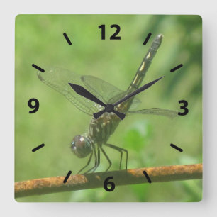 Dragonfly Wall Clock
