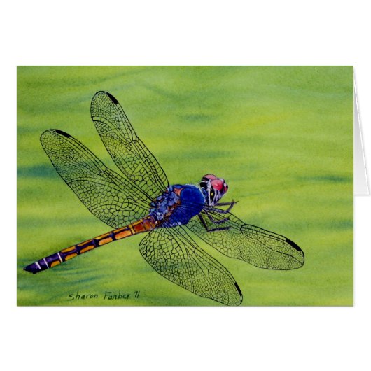 Dragonfly watercolor painting cards (Front Horizontal)