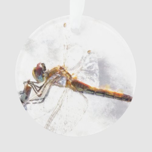Dragonfly Watercolor Pastel White Background Ornament