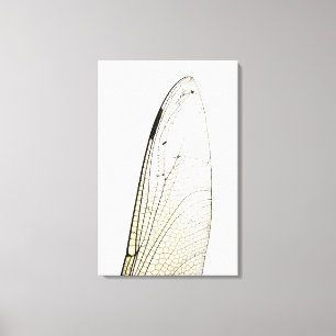 Dragonfly wing canvas print
