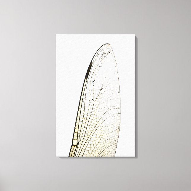 Dragonfly wing canvas print (Front)
