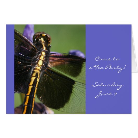 Dragonfly Wings Cards (Front Horizontal)