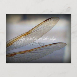 Dragonfly Wings Macro with Shakespeare Quote  Postcard