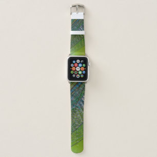 Dragonfly wings nature close insect apple watch band