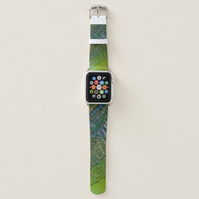 Dragonfly wings nature close insect apple watch band (Front)