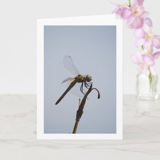Dragonfly with Cane Stick Card (Orchid)