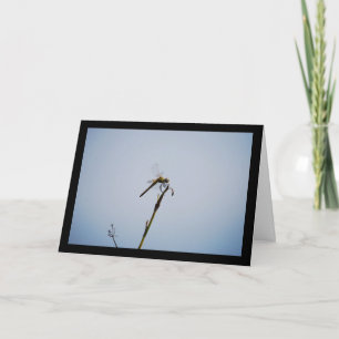 Dragonfly with Cane Stick Card