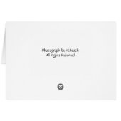 Dragonfly with Sparkly WIngs (Back Horizontal)