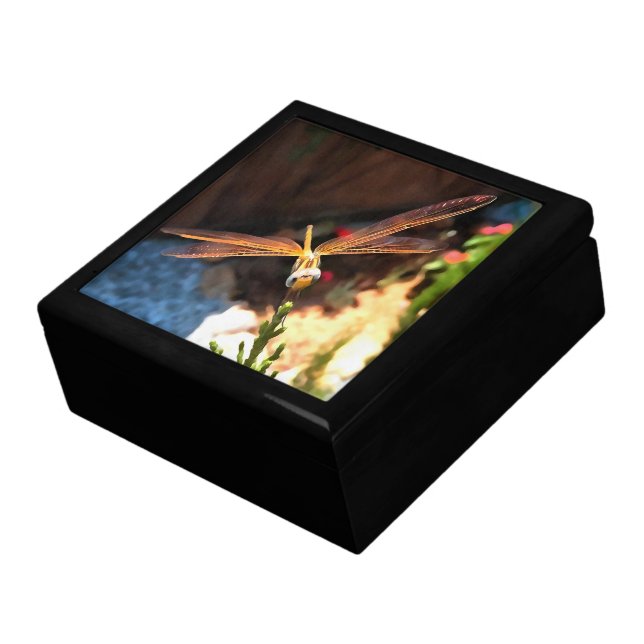 Dragonfly With Sunlight Gilded Wings Gift Box (Side)