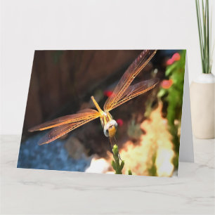 Dragonfly With Sunlight Gilded Wings Letterpress Thank You Card