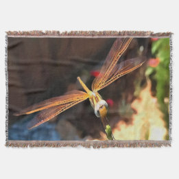 Dragonfly With Sunlight Gilded Wings Throw Blanket
