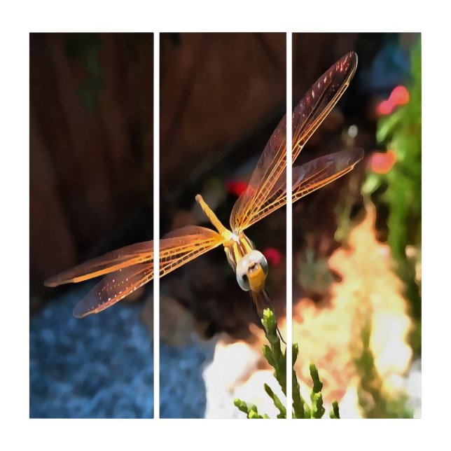 Dragonfly With Sunlight Gilded Wings Triptych (Front)