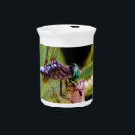 Dragonfly with white flowers beverage pitcher<br><div class="desc">Purple Dragonfly with white flowers Rainbow Dragonfly  A teal Eyed Dragonfly with cattails  Blue Dragonfly on a Purple  pink and amber. dragon,  fly,  flies,  dragonflies,  dragonflies,  flying,  dragons,  insect,  insects,  garden,  nature,  growth,  plants,  dragonflies and damselflies, serenity ,  fun,  summer,  joy, green orange yellow purple</div>