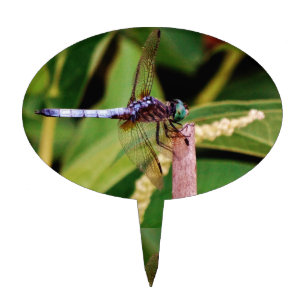 Dragonfly with white flowers cake topper