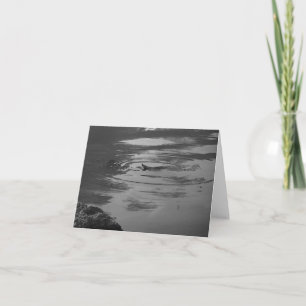 Dragonfly Zen Pond Note Card