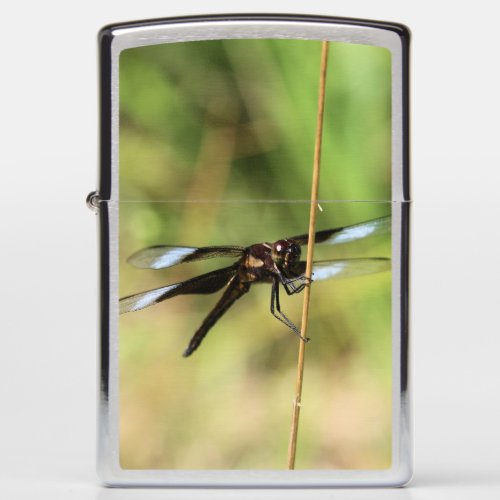 Dragonfly Zippo Lighter
