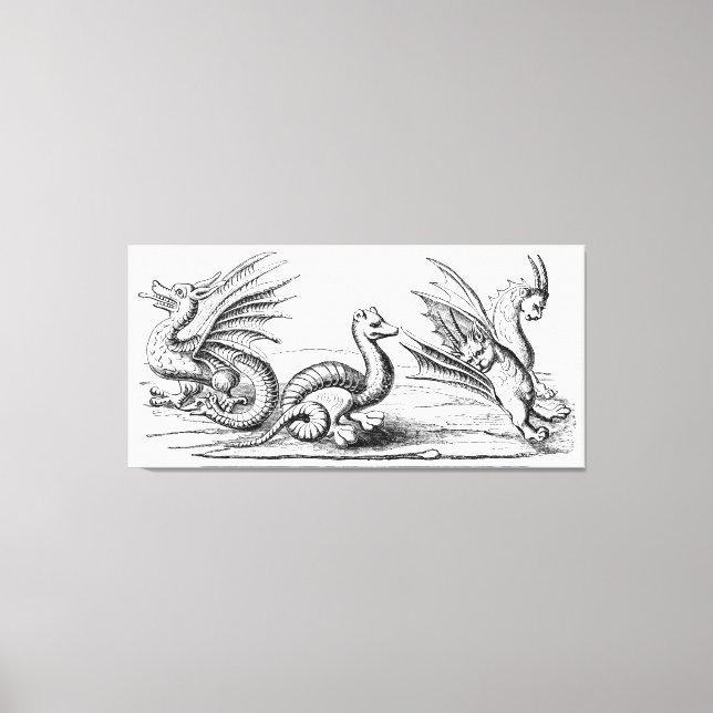 Dragons Canvas Print (Front)