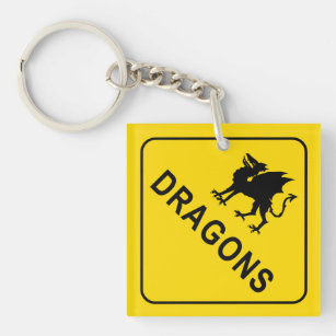 Dragons Warning Sign Keychain