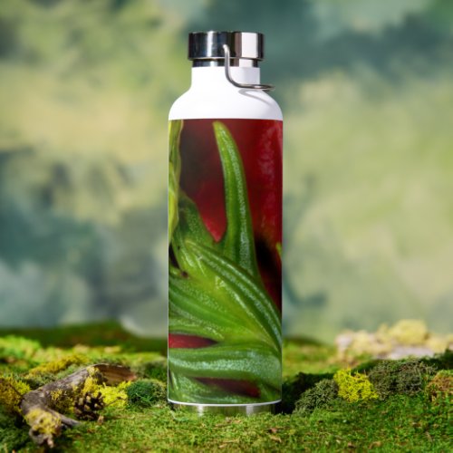 Dragontail Water Bottle