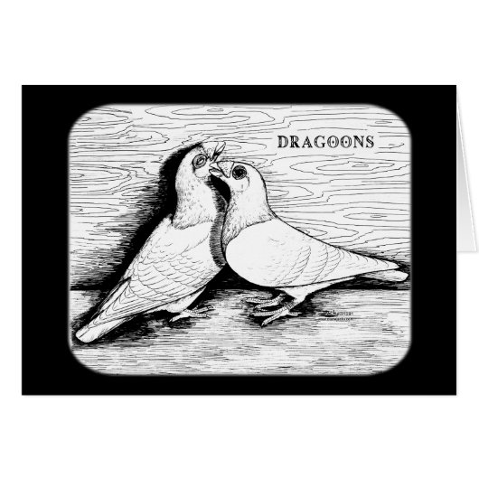Dragoon Pigeons White Pair Cards (Front Horizontal)