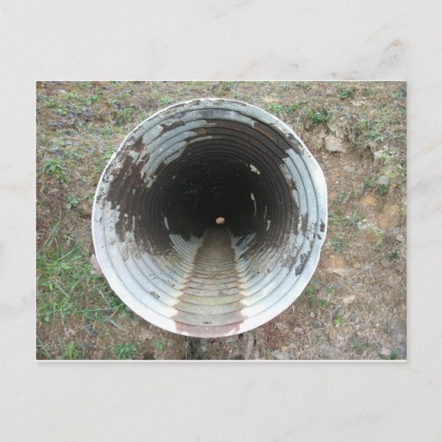 Drain Pipe Postcard (Front)