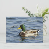 Drake (Standing Front)