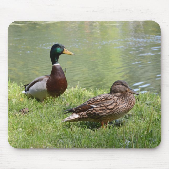 Drake and duck in the wild mouse pad (Front)