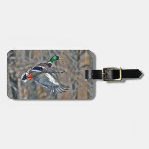 Drake mallard in flight luggage tag