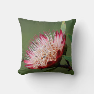 Drakensberg Sugarbush (Protea Dracomontana) Throw Pillow