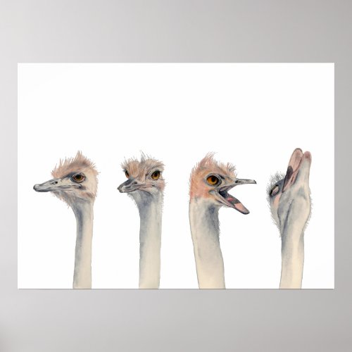 Drama Queen  Funny Ostrich Watercolor Painting Poster