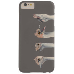 &quot;Drama Queen&quot; Funny Ostriches Painting Barely There iPhone 6 Plus Case