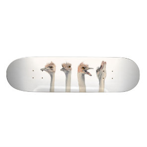 "Drama Queen" Funny Ostriches Painting Skateboard Deck
