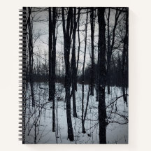 Dramatic Black and White Landscape Notebook