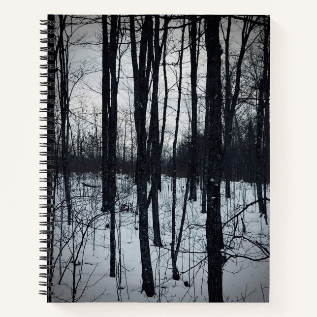 Dramatic Black and White Landscape Notebook (Front)