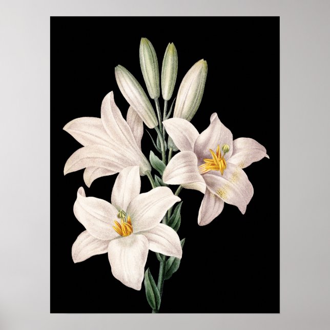 Dramatic Black and White Lilies Poster (Front)