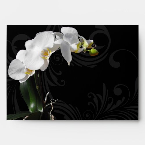 Dramatic Black and White Orchid Flower with Swirl Envelope